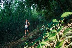 BIB: 
                            <button type="button" onclick="openModal(28123442)" class="btn btn-primary btn-sm float-right btn-popup" data-toggle="modal" data-target=".modal-high-quality">
                        <i class="fas fa-shopping-cart"></i> Add to Cart
                    </button>
                                            <button type="button" onclick="isThisMe(28123442, true)" class="btn btn-success btn-sm float-right btn-popup btn-isme hidden" data-toggle="tooltip" data-placement="bottom" title="นี่คือรูปของคุณใช่ไหม คลิกที่นี่เพื่อเอาเข้าอัลบั้ม">
                        <i class="fas fa-plus"></i> Add to album
                    </button>
                    <button type="button" onclick="isThisMe(28123442, false)" class="btn btn-warning btn-sm float-right btn-popup btn-isnotme hidden">
                        <i class="fas fa-ban"></i> Remove from album
                    </button>